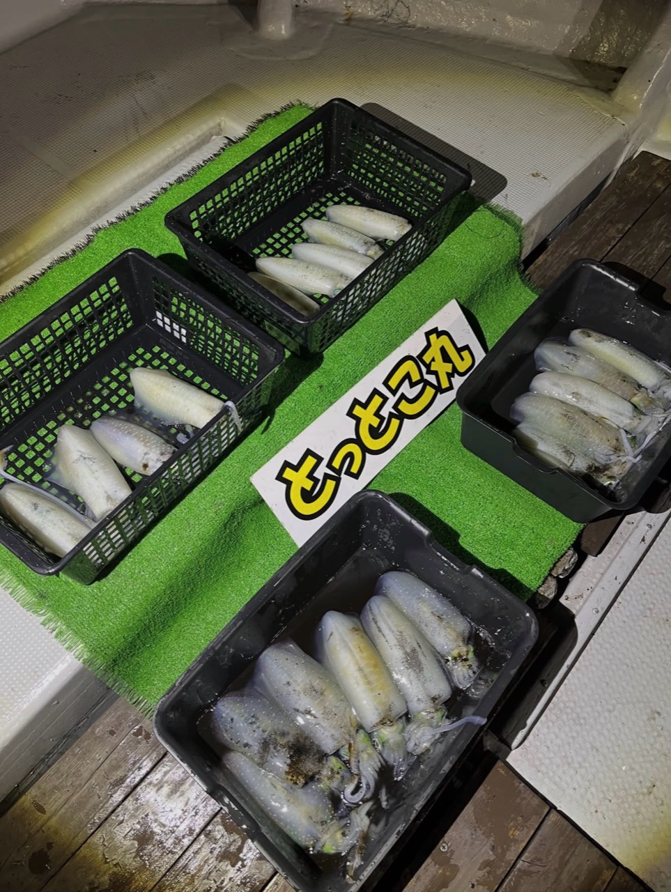 「とっとこ丸」の看板と船上に並べたイカの釣果
